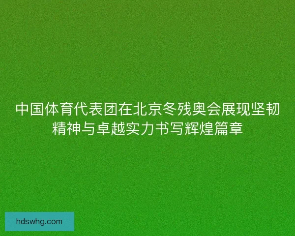 中国体育代表团在北京冬残奥会展现坚韧精神与卓越实力书写辉煌篇章